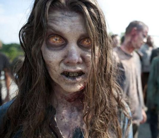 THE WALKING DEAD Segunda Temporada: Primeras imágenes