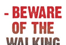 “BEYOND THE GRAVE» (Porto dos mortos) cierra el Montreal Underground Film Festival Beyond the grave. Porto dos mortos. poster