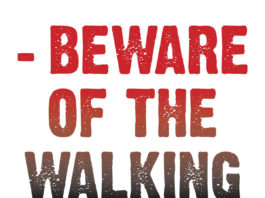 “BEYOND THE GRAVE» (Porto dos mortos) cierra el Montreal Underground Film Festival Beyond the grave. Porto dos mortos. poster