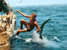 FIMUCINEMA: Programa completo de proyecciones