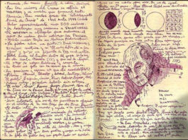 GUILLERMO DEL TORO CABINET OF CURIOSITIES, a la venta a finales de octubre Guillermo del Toro Cabinet of Curiosities