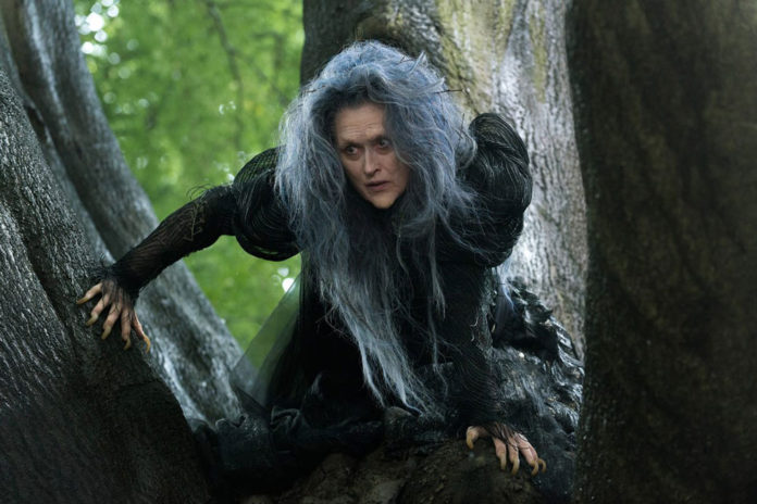 Meryl Steep. Into the woods