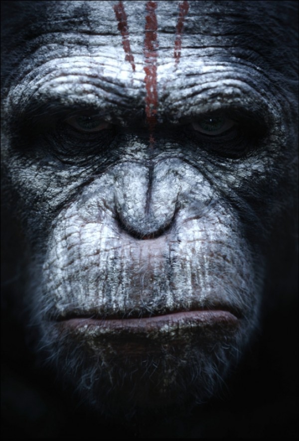 Póster. Dawn of the Planet of the apes