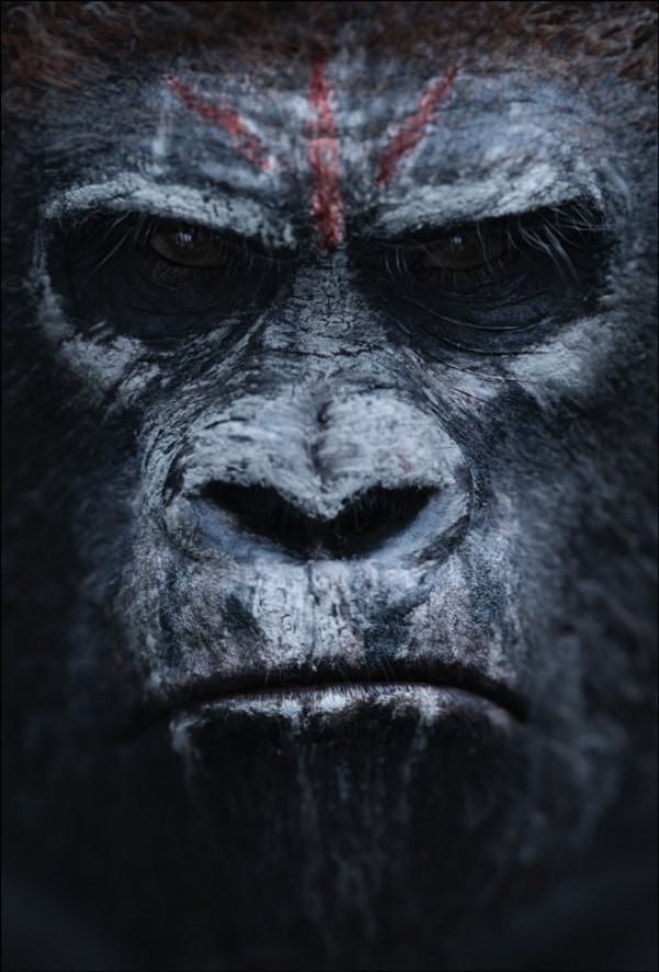 Póster. Dawn of the Planet of the apes