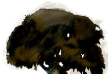 Calendario de festivales y muestras de cine fantástico | ENERO 2014 La vieja encina