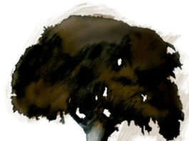 Calendario de festivales y muestras de cine fantástico | ENERO 2014 La vieja encina