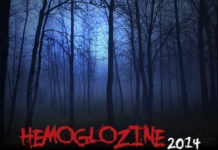 El FESTIVAL HEMOGLOZINE de Ciudad Real busca voluntarios para su edición 2014 Hemoglozine 2014