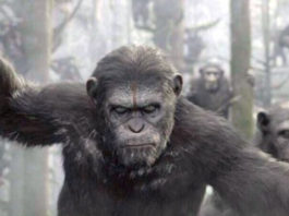 «EL AMANECER DEL PLANETA DE LOS SIMIOS»: Tráiler final en español