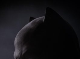 Warner Bros. desvela el primer plano de Ben Affleck como Batman Ben Affleck como Batman