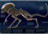 NORMA EDITORIAL publica la biología ALIEN en «ALIEN: EL INFORME WEYLAND-YUTANI» Norma Editorial. Alien: El informe Weyland-Yutani