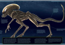 NORMA EDITORIAL publica la biología ALIEN en «ALIEN: EL INFORME WEYLAND-YUTANI» Norma Editorial. Alien: El informe Weyland-Yutani