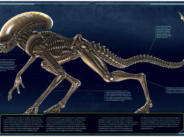 NORMA EDITORIAL publica la biología ALIEN en «ALIEN: EL INFORME WEYLAND-YUTANI» Norma Editorial. Alien: El informe Weyland-Yutani