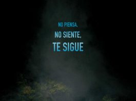 «IT FOLLOWS» llegará a los cines españoles el 22 de mayo It Follows.