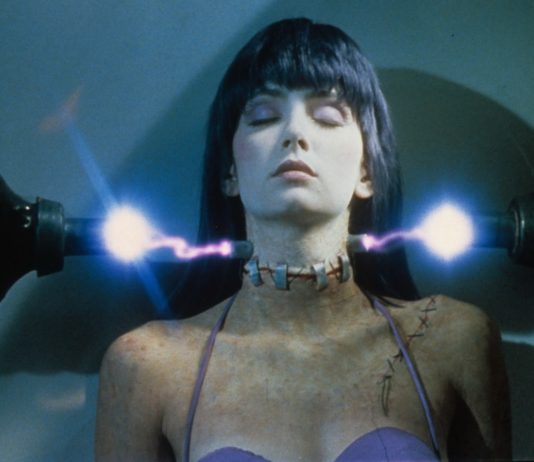 PreNocturna 2015 ofrecerá un programa especial de CineBasura con la proyección de «FRANKENHOOKER» FrankenHooker