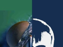 El festival TerrorMolins 2016 marca su calendario