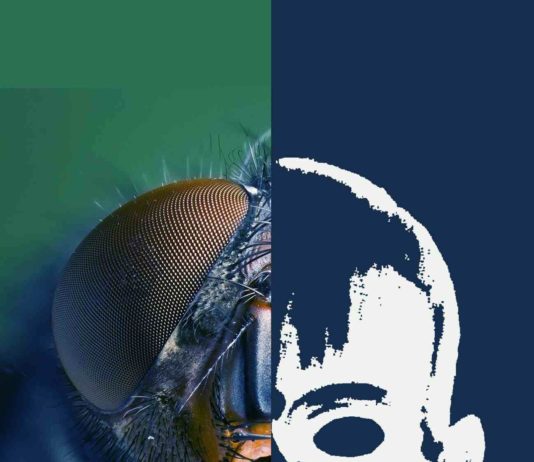 El festival TerrorMolins 2016 marca su calendario