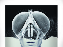 El FESTIVAL DE CINE DE TERROR DE MOLINS DE REI presenta el cartel de su 35ª edición