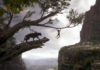 EL LIBRO DE LA SELVA se convierte en el mejor estreno del año en España 'El libro de la selva', de Jon Favreau.