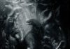 Póster y nuevo tráiler en español de «ALIEN COVENANT» ALien Covenant