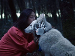 El FESTIVAL ISLA CALAVERA acoge una selección del mejor cine fantástico actual Black Hollow Cage