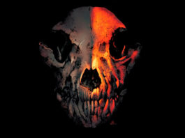 Crítica: «ANIMOSITY» Animosity