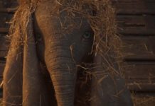 Primeras imágenes de “DUMBO” de Tim Burton 'Dumbo' de Tim Burton.