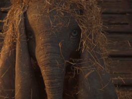 Crítica: ‘DUMBO’. Burton descafeinado 'Dumbo' de Tim Burton.