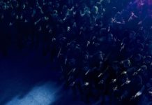 ‘JOHN WICK: CAPÍTULO 3 – PARABELLUM’: Keanu Reeves vuelve al papel del legendario asesino Cartel teaser 'John Wick: Capítulo 3'. Eone Films Spain