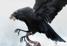 ‘EL CUERVO’ protagoniza el cartel de la séptima edición de NOCTURNA MADRID Detalle del cartel Nocturna Madrid 2019.