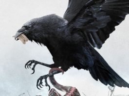 ‘EL CUERVO’ protagoniza el cartel de la séptima edición de NOCTURNA MADRID Detalle del cartel Nocturna Madrid 2019.