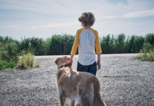 Vincenzo Natali y Patrick Wilson abrirán SITGES con ‘EN LA HIERBA ALTA’, una historia de Stephen King 'En la hierba alta', basada en el relato corto de Stephen King y Joe Hill, inaugurará Sitges 2019.