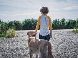 Vincenzo Natali y Patrick Wilson abrirán SITGES con ‘EN LA HIERBA ALTA’, una historia de Stephen King 'En la hierba alta', basada en el relato corto de Stephen King y Joe Hill, inaugurará Sitges 2019.