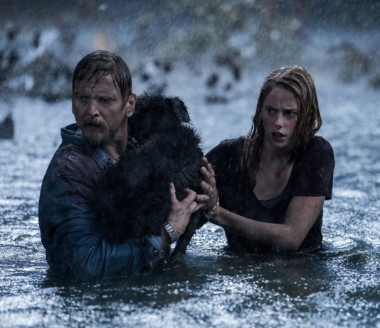 Crítica: ‘INFIERNO BAJO EL AGUA’. Carnaza 'Infierno bajo el agua', de Alexandre Aja. | Paramount Pictures