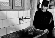 FESTIVAL ISLA CALAVERA 2020: VAMPUS HORROR TALES 'Vampus Horror Tales'