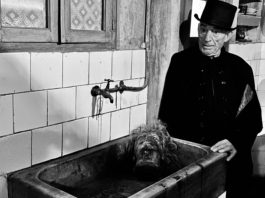 FESTIVAL ISLA CALAVERA 2020: VAMPUS HORROR TALES 'Vampus Horror Tales'