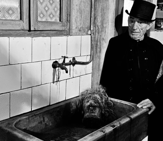 FESTIVAL ISLA CALAVERA 2020: VAMPUS HORROR TALES 'Vampus Horror Tales'