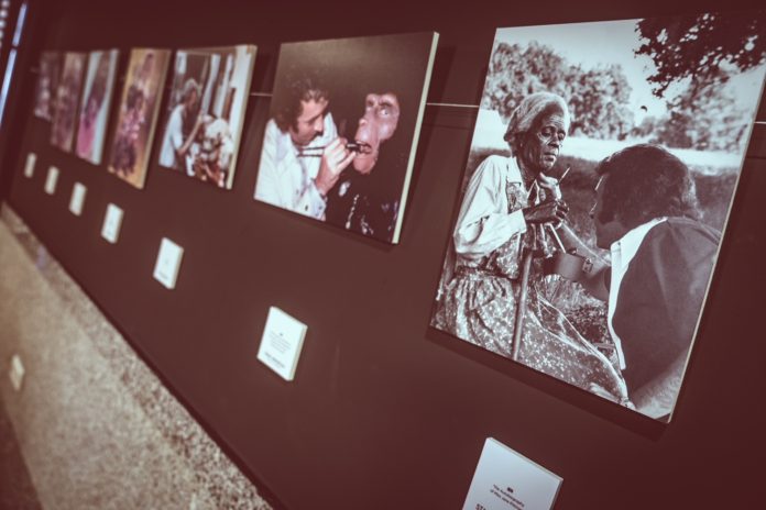 Detalle de la exposición dedicada a Stan Winston en el Festival Isla Calavera 2020.
