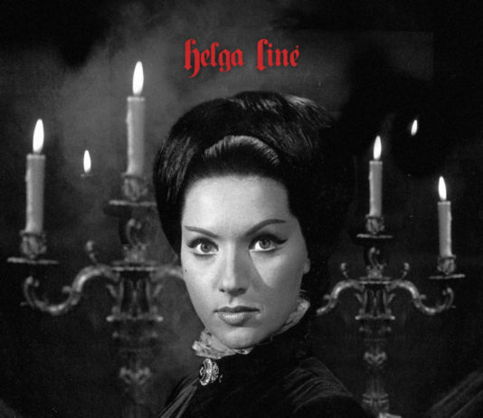 FESTIVAL ISLA CALAVERA 2020: LA DAMA DEL FANTATERROR, de Diego López Póster La Dama del Fantaterror