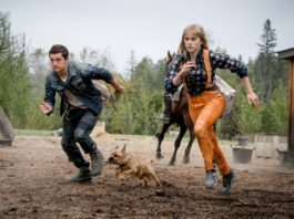 Tom Holland y Daisy Ridley protagonizan la aventura fantástica CHAOS WALKING 'Chaos Walking', de Doug Liman.