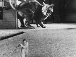 La ciencia ficción de los años 50: EL INCREÍBLE HOMBRE MENGUANTE (Jack Arnold, 1957) 'El increíble hombre menguante' (Jack Arnold, 1957)