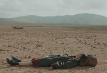 Crítica: LA VIAJANTE. Insectos La viajante, de Miguel Mejías.