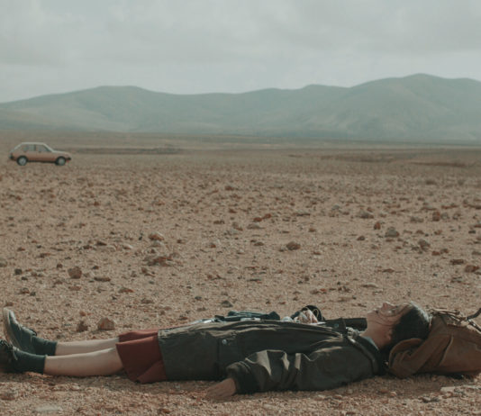 Crítica: LA VIAJANTE. Insectos La viajante, de Miguel Mejías.