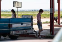 BONES & ALL, lo nuevo de Luca Guadanigno sobre caníbales adolescentes Taylor Russell y Timothée Chalamet, en la primera imagen promocional de Bones & all.