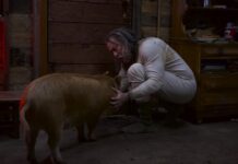 Nicolas Cage protagoniza el sorprendente drama PIG, de estreno este 14 de julio Pig, con Nicolas Cage.