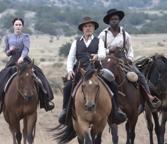 DEAD FOR A DOLLAR, by Walter Hill: Cinephile reward for the right price Dead for a dollar, de Walter Hill.