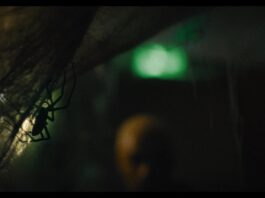 VERMIN. LA PLAGA: Invasión arácnida ‘Vermin. La plaga’, no apta para aracnofóbicos, se podrá ver este lunes y el miércoles en el Festival Isla Calavera.