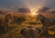 D23: Tráiler de MUFASA: EL REY LEÓN, de estreno en cines las próximas navidades Mufasa: El Rey León. © 2024 Disney Enterprises Inc. All Rights Reserved.