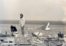 Víctor Matellano y Ángel Sala se sumergen en la historia de L’ULTIMO SQUALO Enzo G. Castellari rodando L´ultimo squalo.