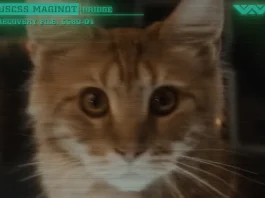 ALIEN: EARTH. Campo de batalla, la Tierra Alien: Earth