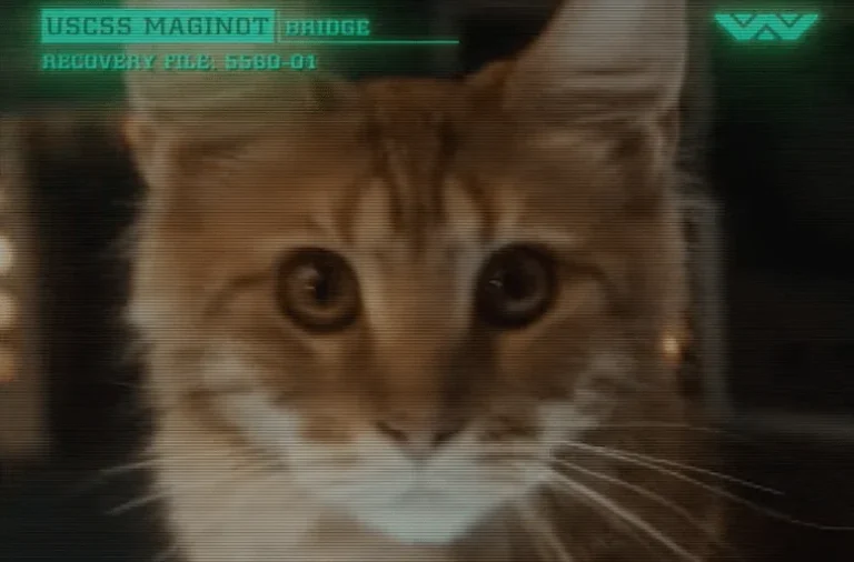 ALIEN: EARTH. Campo de batalla, la Tierra